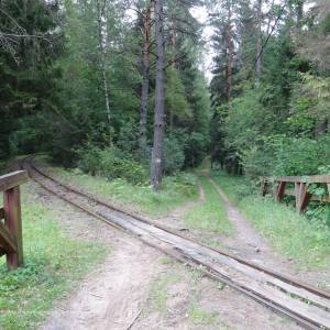 Wigierska Kolej Wąskotorowa - binduga przystanek kolejki lesnej panoramio 15