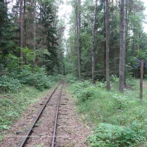 Wigierska Kolej Wąskotorowa - powaly panoramio 9