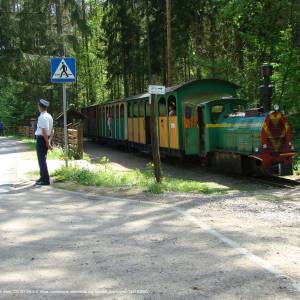 Wigierska Kolej Wąskotorowa - wkw 2024 115004900