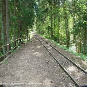 Wigierska Kolej Wąskotorowa - wkw 2024 dsc05627