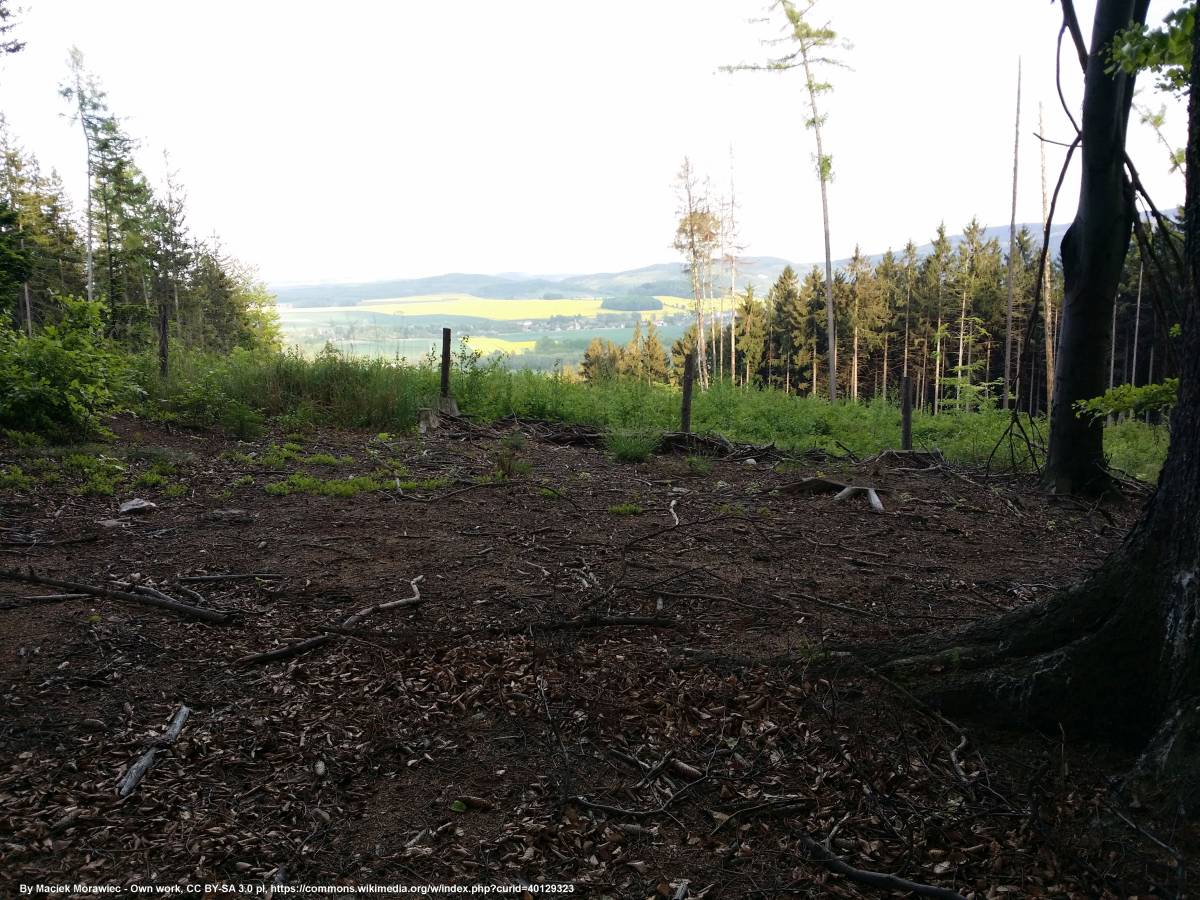 Przednia Kopa (Góry Opawskie) - przednia kopa gory opawskie 2