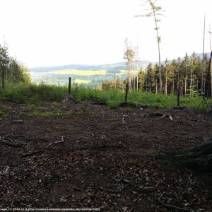 Przednia Kopa (Góry Opawskie) - przednia kopa gory opawskie 2