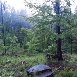 Przednia Kopa (Góry Opawskie) - przednia kopa gory opawskie 3