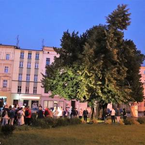 Lipa szerokolistna w Głuchołazach - lipa szerokolistna w glucholazach 1
