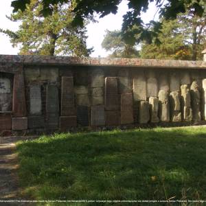 Cmentarz żydowski w Suwałkach - cmentarz zydowski w suwalkach 159
