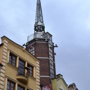 Ratusz w Nysie - ratusz w nysie 9