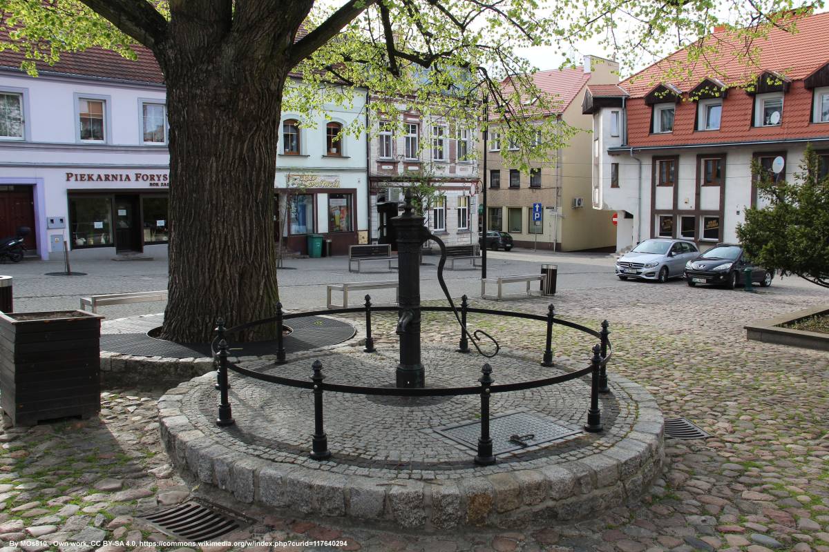 Rynek w Byczynie - rynek w byczynie 3