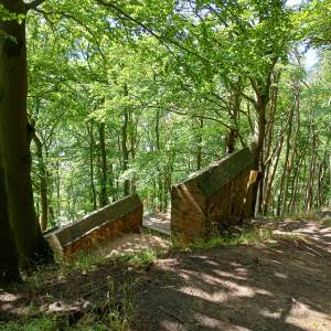 Stanowiska tajnej broni V3 w Zalesiu - stanowiska tajnej broni v3 w zalesiu 29