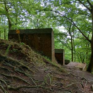 Stanowiska tajnej broni V3 w Zalesiu - stanowiska tajnej broni v3 w zalesiu 7