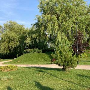 Park na wyspie w Suwałkach - park na wyspie w suwalkach2