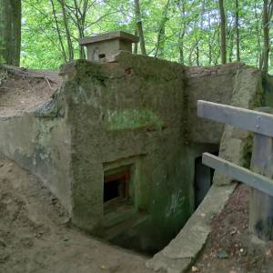 Bunkry na Wzgórzu Gosań - bunkry na wzgorzu gosan 4