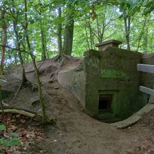 Bunkry na Wzgórzu Gosań - bunkry na wzgorzu gosan 8