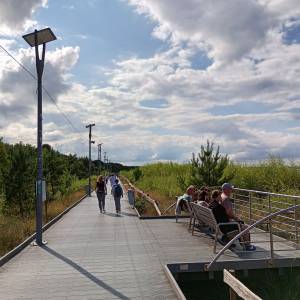 Kładka spacerowa na wydmach w Świnoujściu - kladka spacerowa na wydmach w swinoujsciu 5