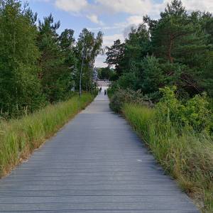 Kładka spacerowa na wydmach w Świnoujściu - kladka spacerowa na wydmach w swinoujsciu 8