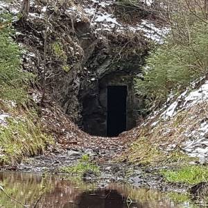 Sztolnia za stawami "Lässiger-Stolle" w Starym Lesińcu - sztolnia nad stawami lassiger stolle 2