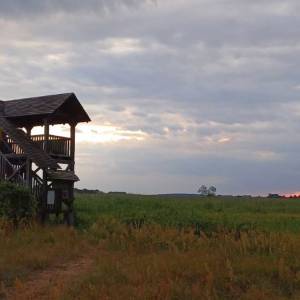Wieża widokowa Topilec - wieza widokowa topilec2