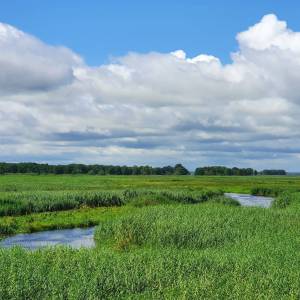 Wieża widokowa Topilec - wieza widokowa topilec3