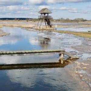 Wieża widokowa Topilec Kolonia - wieza widokowa topilec kolonia3