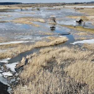 Wieża widokowa Topilec Kolonia - wieza widokowa topilec kolonia4