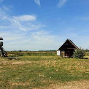 Wieża widokowa Topilec Kolonia - wieza widokowa topilec kolonia5