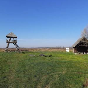 Wieża widokowa Topilec Kolonia - wieza widokowa topilec kolonia6