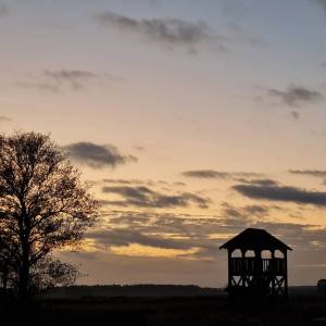 Wieża widokowa Uhowo - wieza widokowa uhowo2