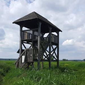 Wieża widokowa Uhowo - wieza widokowa uhowo3