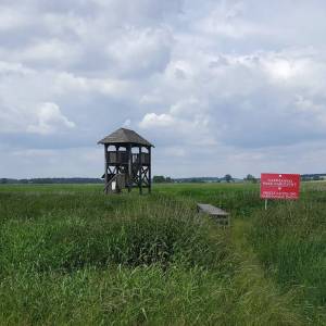 Wieża widokowa Uhowo - wieza widokowa uhowo4