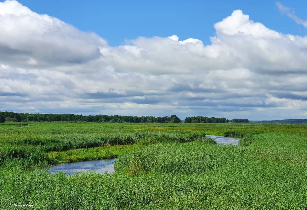 Pole namiotowe Topilec - wieza widokowa topilec3