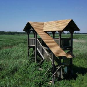 Pole namiotowe Topilec - wieza widokowa topilec4