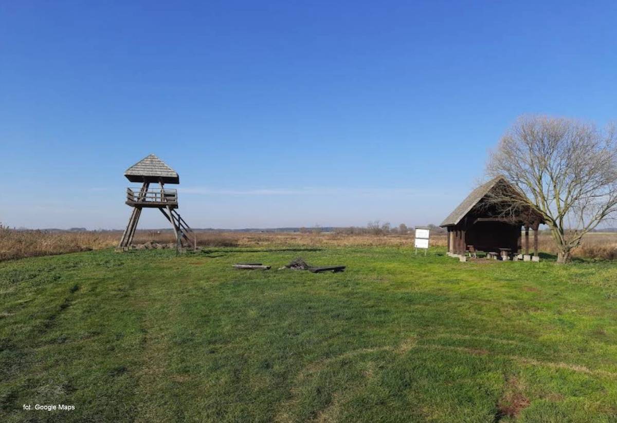 Pole namiotowe Topilec Kolonia - wieza widokowa topilec kolonia6