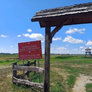 Pole namiotowe Topilec Kolonia - wieza widokowa topilec kolonia1