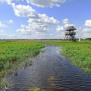 Pole namiotowe Topilec Kolonia - wieza widokowa topilec kolonia2
