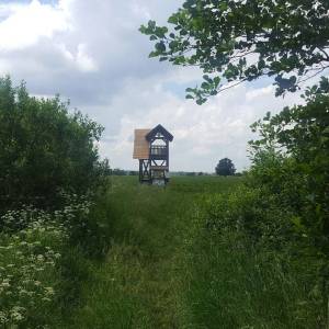 Wieża widokowa Suraż - wieza widokowa suraz3