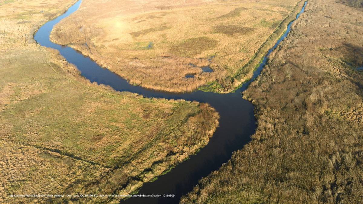 Narwiański Labirynt - 2021 10 31 orlanka flows to narew