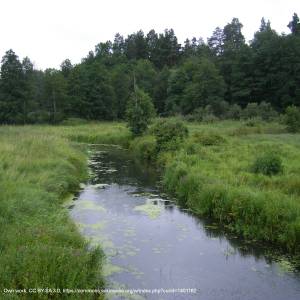 Narwiański Labirynt - belarusbnp05