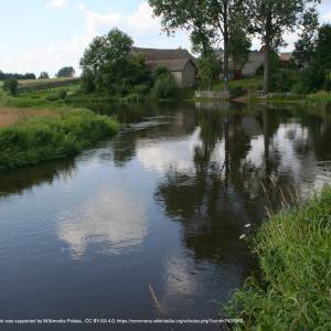 Narwiański Labirynt - biendziuga narew 13 07 2009 p