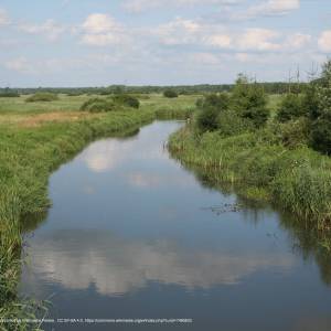 Narwiański Labirynt - narew suszcza 13 07 2009 p