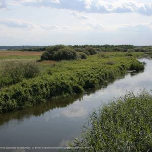 Narwiański Labirynt - narew suszcza 13 07 2009 p2