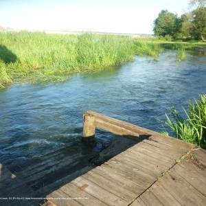 Narwiański Labirynt - waniewo narew fc04