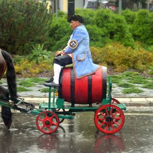 Gwarki Tarnogórskie - gwarki tarnogorskie pochod 2025 35