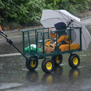 Gwarki Tarnogórskie - gwarki tarnogorskie pochod 2025 9