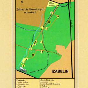 Ścieżka dydaktyczna do Leśnego Ogródka Botanicznego - puszczanska sciezka do lesnego ogrodka botanicznego3