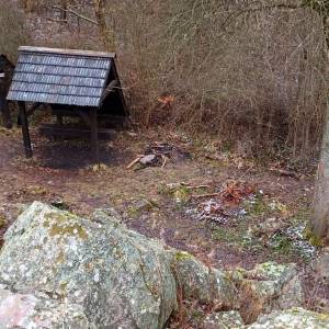 Diabelski Kamień w Górach Świętokrzyskich - diabelski kamien w gorach swietokrzyskich 2