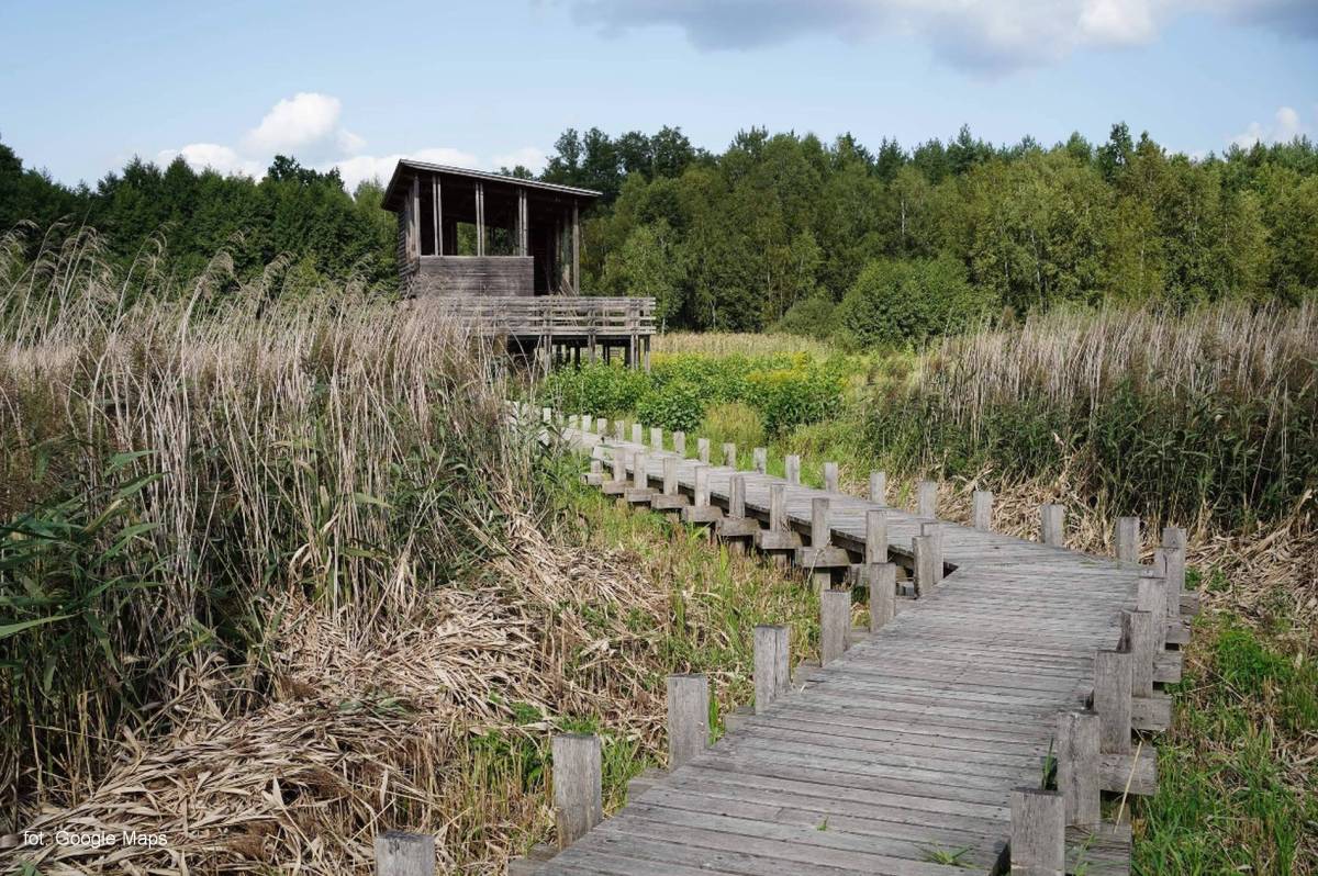 Ścieżka dydaktyczna „Skrajem Puszczy” - sciezka dydaktyczna skrajem puszczy4