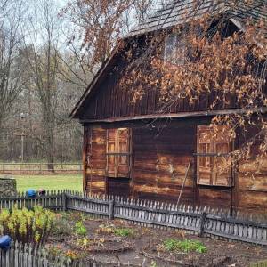 Ścieżka dydaktyczna „Skrajem Puszczy” - sciezka dydaktyczna skrajem puszczy11