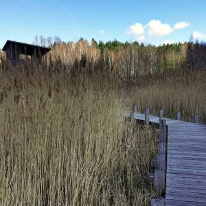 Ścieżka dydaktyczna „Skrajem Puszczy” - sciezka dydaktyczna skrajem puszczy6