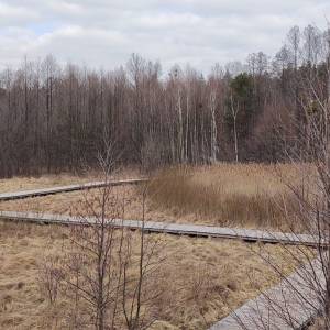 Ścieżka dydaktyczna „Skrajem Puszczy” - sciezka dydaktyczna skrajem puszczy7