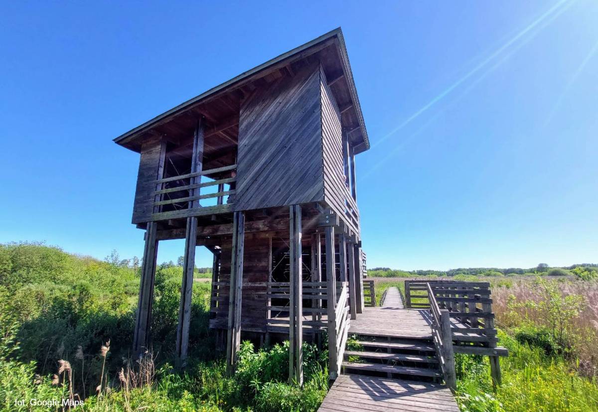 Wieża widokowa Granica - wieza widokowa granica1