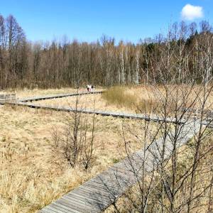 Wieża widokowa Granica - sciezka dydaktyczna skrajem puszczy3